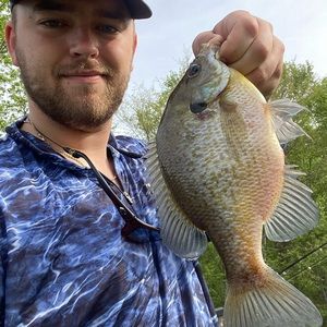 Meet your Posher, Evan